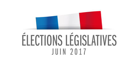 Vosges : 49 candidats aux Législatives de juin 2017