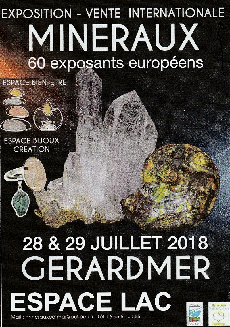 Gérardmer : pierres et fossiles sont à admirer ce weekend à l'Espace Lac