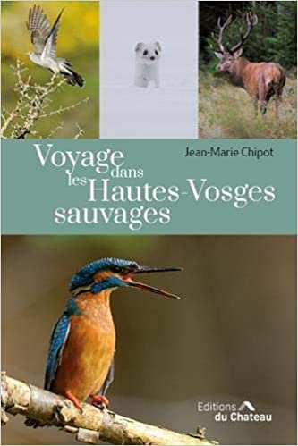  Voyage dans les Hautes-Vosges sauvages avec le photographe Jean-Marie Chipot