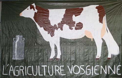 Agriculture : les Vosges, terres d'avenir ?