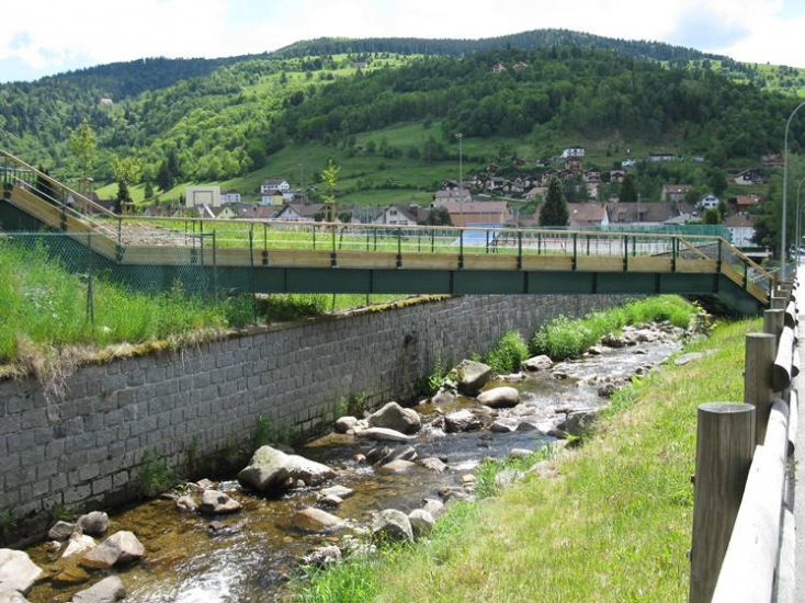 Le ruisseau du Chajoux à La Bresse pollué