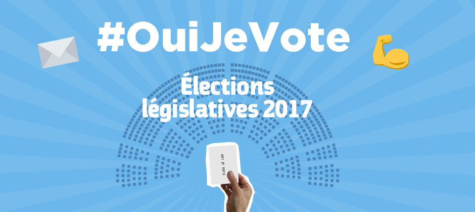 Vosges Législatives : un scrutin à haut renouvellement
