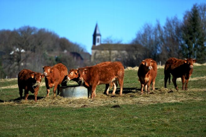 Vosges : les agriculteurs unis pour dénoncer le projet d'accord UE - Mercosur 
